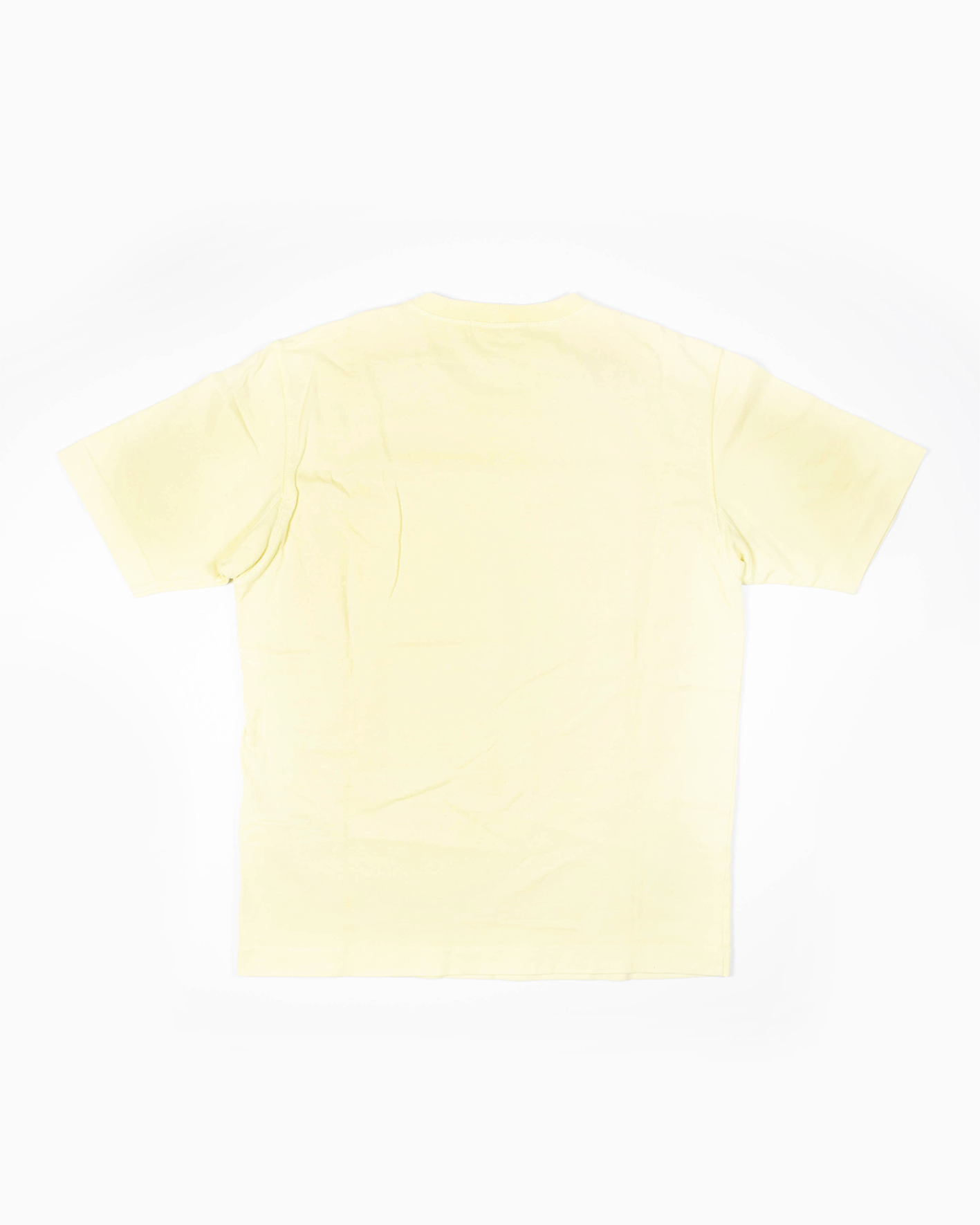 T-shirt Stone Island